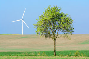 Windrad mit Baum